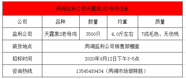 监利招投标，推动地方经济发展的核心动力